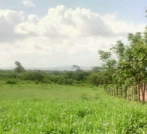 Imagen 7 de 11 de Finca En Altagracia De Orituco- Guarico