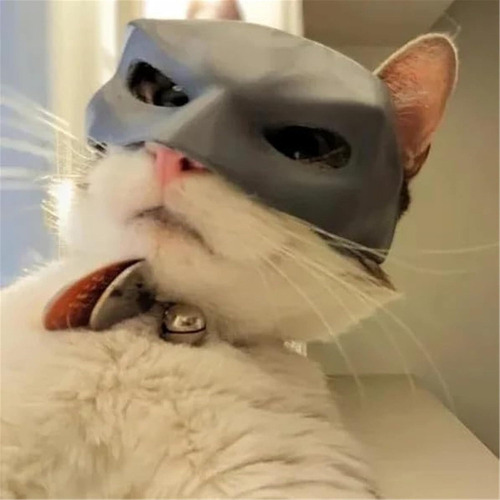 / Halloween Cosplay Disfraz For Gato,máscara For Batgato12cm
