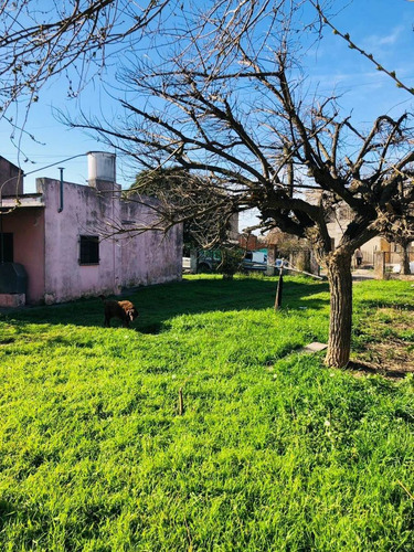 Imagen 2 de 3 de Venta Terreno De 700m2 Ideal Para Duplex - Lujan