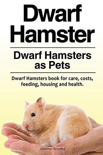 Hamster Enano Hamsters Enanos Como Mascotas Hamsters Enanos 