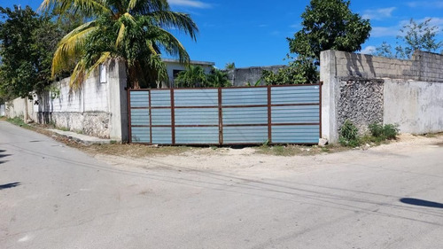 Bodega En Renta En Conkal