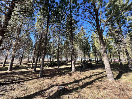 Terreno En Loteo Pine Zone