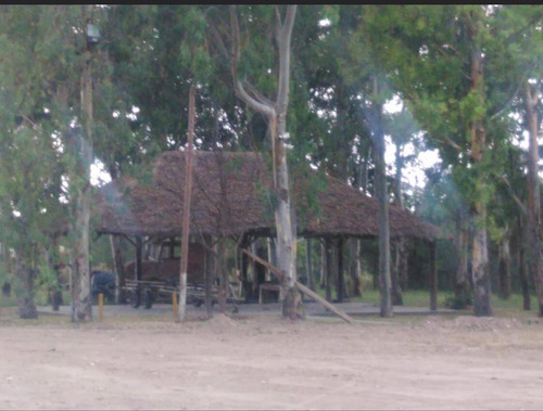 Imagen 9 de 16 de Venta Campo Desarrollado 35,5 Hectareas Cañuelas