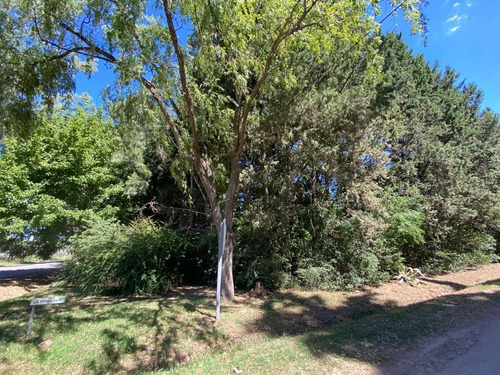 Imagen 16 de 18 de Terreno En Venta - El Remanso - Exaltación De La Cruz - 1900 M2