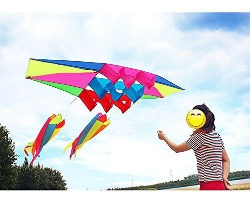 Besra Huge 98inch Single Line 3D Radar Kite with Flying Tools 2.5m Power Box Kites with 2 Tails Outdoor Fun Sports for Adults 