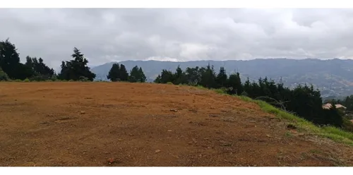 Rhbr-14718 (lote) (guarne)