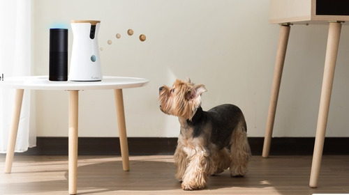 Furbo Dog Câmera Com Alimentador Interativo Com A Alexa