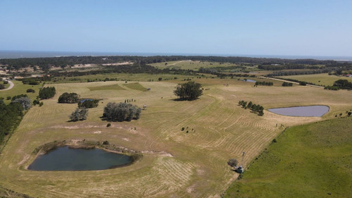 Imagen 18 de 30 de Chacra En Venta, Fraccion De 20 Has En Jose Ignacio (ref: Atm-6766)
