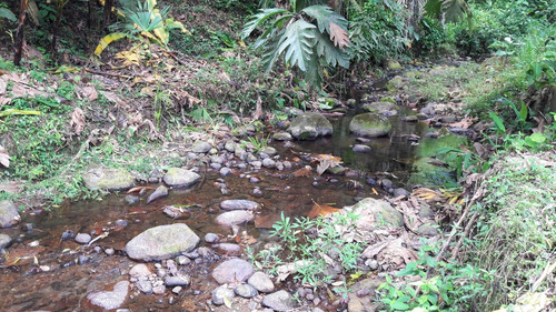 Imagen 11 de 14 de Hermosa Finca Vacacional Y Productiva En Vía A Las Mercedes