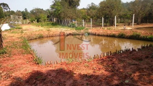 Imagem 6 de 13 de Terreno - Ref: 3271 - V-3271