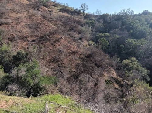 23 Hectáreas En La Tranquila Quebrada Escobares