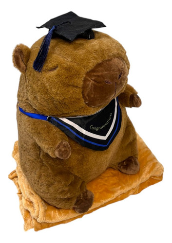 Peluche Capibara Carpincho Con Manta Varios Modelos 40cm Capibara Egresado