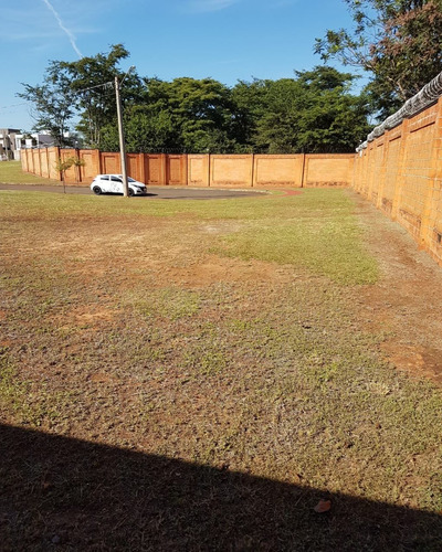 Imagem 5 de 6 de Terreno Com 397 M² No Condomínio Quinta Da Primavera - Praça Das Árvores - Te00262 - 69491262