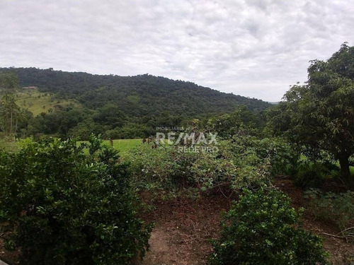 Imagem 21 de 22 de Sítio Cachoeira, Ótima Oportunidade Entre Valinhos E Itatiba À Venda Em Itatiba Sp Com 194000 M² Por R$ 2.980.000 - Vila Santa Cruz - Itatiba/sp - Sp - Si0002_proiv