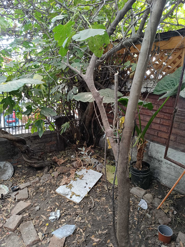 Venta Casa 3d 2b, Cercano Metro Las Rejas (86919)