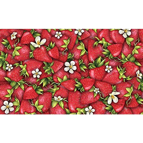 Tapete De Puerta De Verano Collage De Fresas 800018 De ...