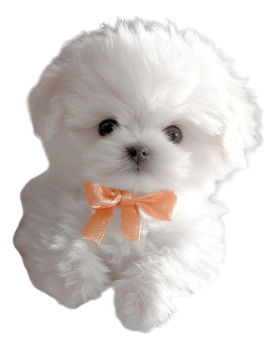 Juguete Electrónico De Peluche Para Perro Que Camina Y