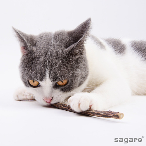 Brinquedo Gato Matatabi Varas De Catnip Limpa Dentes 10 Uni
