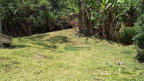 Imagem 4 de 5 de Chácara Com 1 Dormitório À Venda, 1800 M² Por R$ 110.000 - Pouso Alto - Natividade Da Serra/sp - Ch0594