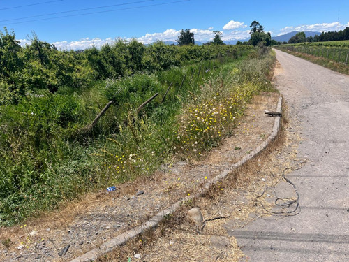 Vendo 12,4 H Vereda Oriente 5 Sur- 440 M Frente. Curico.
