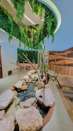 Estudio · Amenidades · Alberca · Gimnasio · Cine · Airbnb · Inversión · Tulum