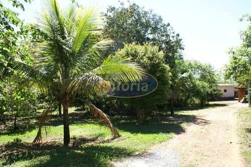 Imagem 8 de 9 de Chácara Para Venda No Bairro Centro - 11500