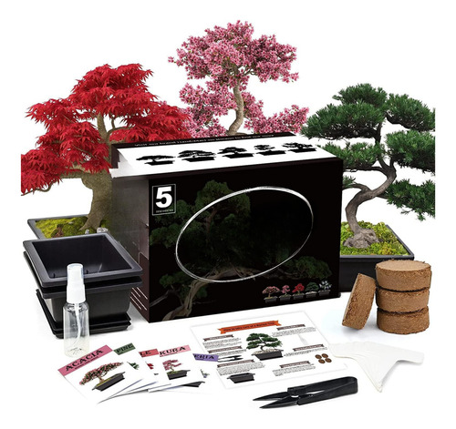 Kit Bonsái Artificial Interior Para Jardinería Casa (5 Pzas)