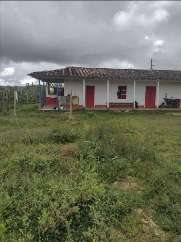 Hermosa Finca En Venta Aguacatera En San Vicente Antioquia