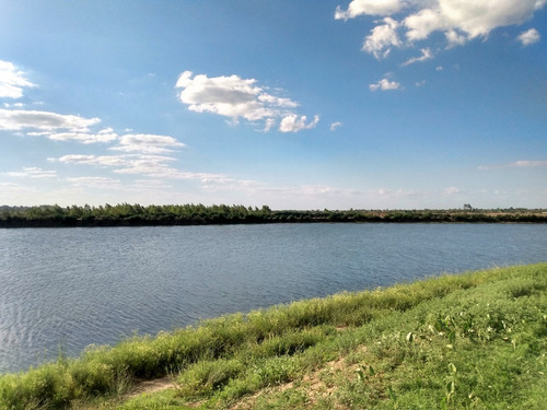 Imagen 6 de 6 de Venta Lote Al Lago Central En Puertos/costas Escobar Oportunidad