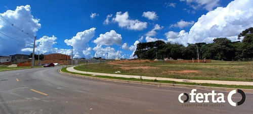 Imagem 7 de 15 de Terreno - Capela Velha - Ref: 856 - V-856