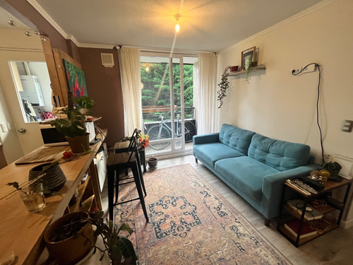 Depto En Venta De 3 Dormitorios, 1 Baño En Luis Durand
