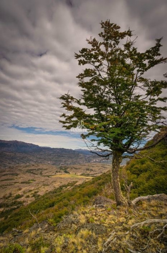 Imagen 17 de 21 de Sitio En Loteo Venta En Cerro Castillo Río Ibáñez Aysen