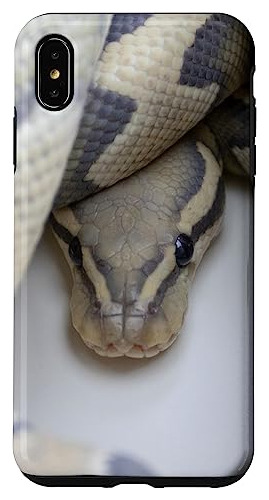 Funda Para iPhone XS Max Ball Python Boa Constrictor Snak-02