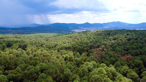 Terrenos En Venta En Bosque Escondido Tapalpa