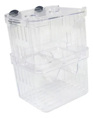 comprar Caja De Cría De Aislamiento De Peces, De Cría De Peces