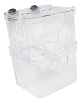 Comprar Caja De Cría De Aislamiento De Peces, De Cría De Peces