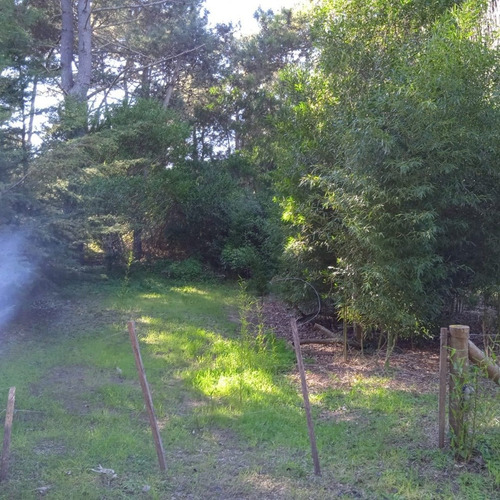 Imagen 4 de 5 de Terreno En Las Gaviotas