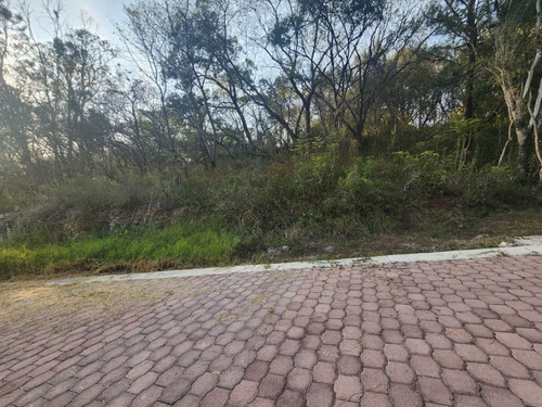 Venta Lote Gladiola 37 Con Vistas Panorámicas, Proyecto Incluído Y Todos Los Servicios Cerca De Las Amenidades De Fracc Rancho San Diego Ixtapan De La Sal Edomex