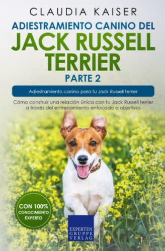 Adiestramiento Canino Del Jack Russell Terrier Parte 2: Como