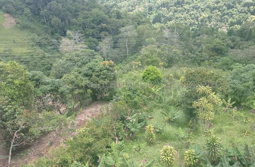 Imagen 10 de 11 de Terreno De 5.000 Mts2 Con Casa Y 2 Locales Comerciales Ym