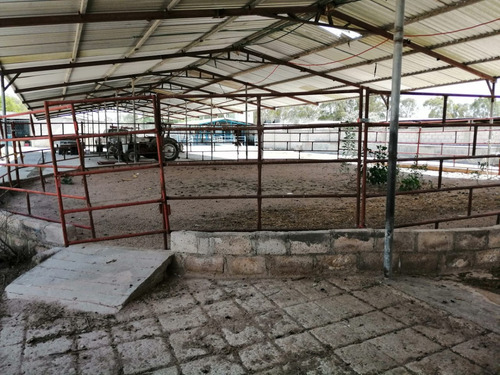 Rancho En Venta Cerca De Polotitlán Querétaro - Precio De Remate