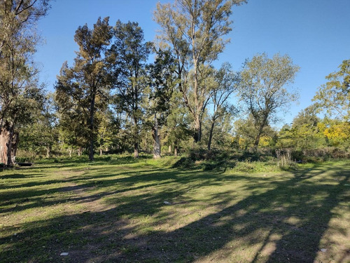 Imagen 5 de 21 de Terreno En Venta - La Lonja - Pilar