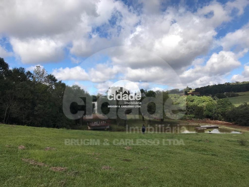 Imagem 13 de 17 de Imóvel Rural À Venda, 2 Quartos, 2 Vagas, Santa Felicidade - Cascavel/pr - 12452