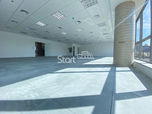 Imagem 7 de 16 de Sala Para Aluguel Em Cambuí - Sa008572
