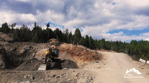 Black Friday 50% Dcto - Parcela 5.000 M2 Bosque Nativo Y Río