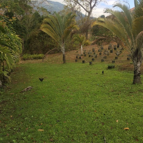 Imagen 25 de 30 de Parcela Con Bienhechurías En San Juan De Los Morros, Guárico
