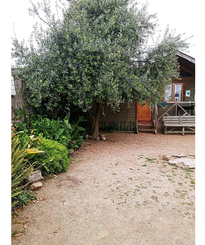 Terreno Con 6 Cabañas Horcón Funcionando!