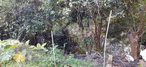 Imagem 13 de 14 de Casa À Venda No Bairro Águas Claras - Brusque/sc - 1975