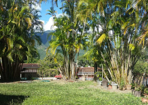 Imagen 10 de 26 de Se Vende Casa 550m2 5h/7b/6p Urb. Miranda
