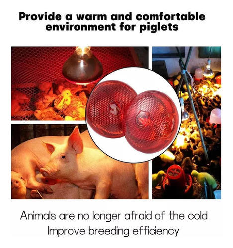 Lámpara Infrarroja Impermeable Para Lechones